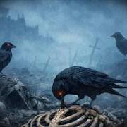 Bones for the crows