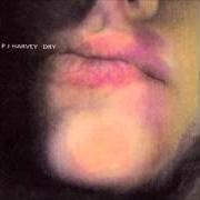 Il testo VICTORY di PJ HARVEY è presente anche nell'album Dry (1992)