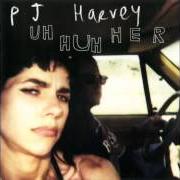 Il testo CAT ON THE WALL di PJ HARVEY è presente anche nell'album Uh huh her (2004)