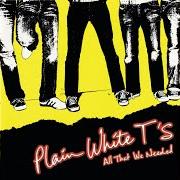 Il testo LAST CALL dei PLAIN WHITE T'S è presente anche nell'album All that we needed (2005)