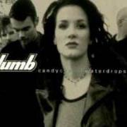 Il testo ENDURE di PLUMB è presente anche nell'album Simply plumb (2005)