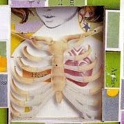 Il testo [UNTITLED] dei PRETTY GIRLS MAKE GRAVES è presente anche nell'album Good health (2002)