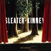 Il testo ROLLERCOASTER degli SLEATER-KINNEY è presente anche nell'album The woods (2005)