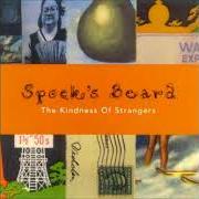 Il testo CAKEWALK ON EASY STREET degli SPOCK'S BEARD è presente anche nell'album The kindness of strangers (1998)