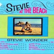 Stevie at the beach