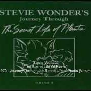 Stevie wonder's journey through the secret life of plants