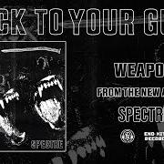 Il testo WEAPON degli STICK TO YOUR GUNS è presente anche nell'album Spectre (2022)