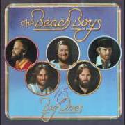 Il testo EVERYONE'S IN LOVE WITH YOU dei THE BEACH BOYS è presente anche nell'album 15 big ones (1976)