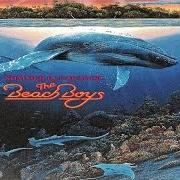 Il testo SUMMER OF LOVE dei THE BEACH BOYS è presente anche nell'album Summer in paradise (1992)