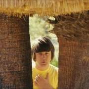 Il testo I'D LOVE JUST ONCE TO SEE YOU dei THE BEACH BOYS è presente anche nell'album Wild honey (1967)