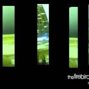 The city at night The city at night