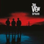 Il testo ALLERGIC TO MORNINGS dei THE VIEW è presente anche nell'album Exorcism of youth (2023)