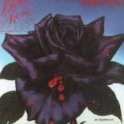 Black rose: a rock legend