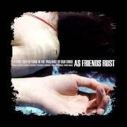 Il testo MORE THAN JUST MUSIC, IT'S A HAIRSTYLE degli AS FRIENDS RUST è presente anche nell'album A young trophy band in the parlance of our times (2002)