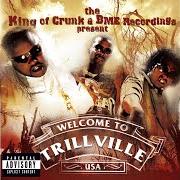 Il testo DIAMONDS IN MY PINKY RING di TRILLVILLE è presente anche nell'album The king of crunk & bme recordings present: trillville (2004)