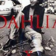 Il testo CRUCIFY MY LOVE degli X JAPAN è presente anche nell'album Dahlia (1996)