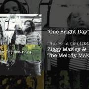 One bright day