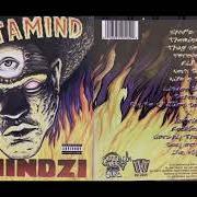 Themindzi