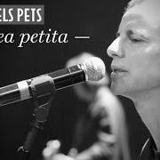 Il testo BLUE TACK degli ELS PETS è presente anche nell'album L'àrea petita (2013)