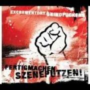 Il testo GANZ IN GRIND (REPRISE) degli EXCREMENTORY GRINDFUCKERS è presente anche nell'album Fertigmachen, szeneputzen! (2004)