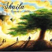 Il testo NOVIEMBRE degli SHAILA è presente anche nell'album Camino a idilia (2006)