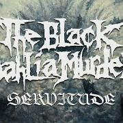 Il testo CURSED CREATOR dei THE BLACK DAHLIA MURDER è presente anche nell'album Servitude (2024)