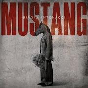 Mustang Mustang