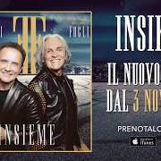 Il testo PRIMA ROSA DELLA VITA di RICCARDO FOGLI è presente anche nell'album Insieme (2017)
