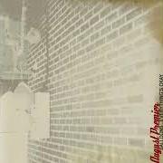 Balloons...Everything's okay Balloons...Everything's okay