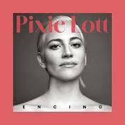 Il testo BLOCKBUSTER VIDEO di PIXIE LOTT è presente anche nell'album Encino (2024)