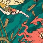 Il testo SCREW THE STANDARD di MISTER OWL è presente anche nell'album All my friends (2008)