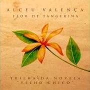 Flor de tangerina