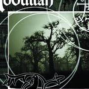 Graveyard poetry Graveyard poetry