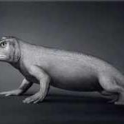 Il testo LUI di LOÏC LANTOINE è presente anche nell'album J'ai changé (2013)