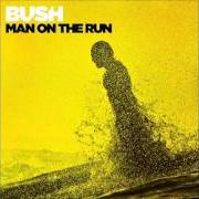 Il testo DANGEROUS LOVE dei BUSH è presente anche nell'album Man on the run (2014)