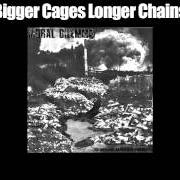 Il testo NEW EMPIRE di MORAL DILEMMA è presente anche nell'album Bigger cages, longer chains (2012)