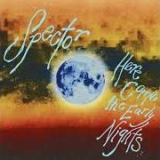 Il testo PRESSURE di SPECTOR è presente anche nell'album Here come the early nights (2023)