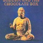 Buddha and the chocolate box
