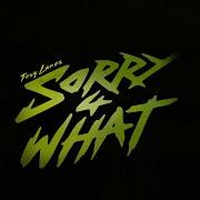 Il testo RED CASAMIGOS di TORY LANEZ è presente anche nell'album Sorry 4 what (2022)