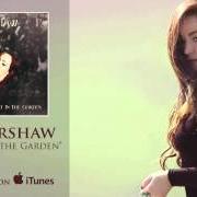 Midnight in the garden