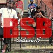 Il testo WOLVES AND SNAKES di TROY AVE è presente anche nell'album Troy ave presents: bsb vol. 4 (2014)