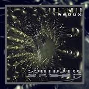 Il testo PARADOX di SYNTHETIC BREED è presente anche nell'album Fractured - ep (2005)