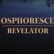 Il testo THE WORLD IS ENDING di PHOSPHORESCENT è presente anche nell'album Revelator (2024)