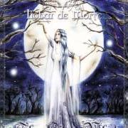 Il testo THE ARRIVAL OF THE DARKNESS di TROBAR DE MORTE è presente anche nell'album The silver wheel (2012)