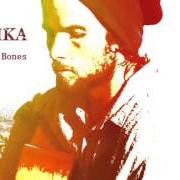 Il testo RIDDIM FOR YOUR RIGHTS di MISHKA è presente anche nell'album The journey (2013)