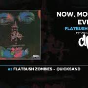 Il testo WHEN IM GONE di FLATBUSH ZOMBIES è presente anche nell'album Now, more than ever (2020)