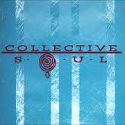 Il testo NEXT HOMECOMING dei COLLECTIVE SOUL è presente anche nell'album 7even year itch-collection: greatest hits 1994-2001 (2001)