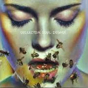 Il testo TREMBLE FOR MY BELOVED dei COLLECTIVE SOUL è presente anche nell'album Dosage (1999)