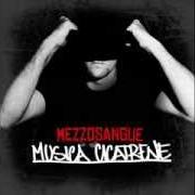 Il testo PIOVE MUSICA di MEZZOSANGUE è presente anche nell'album Musica cicatrene (2024)