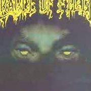 Il testo SLEEPLESS dei CRADLE OF FILTH è presente anche nell'album From the cradle to enslave (1999)